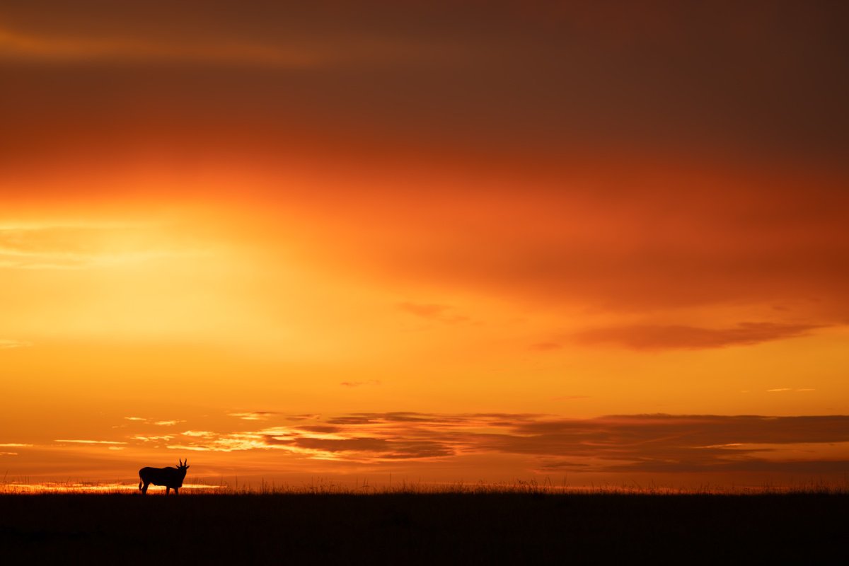 Eland Horizon by Nick Dale