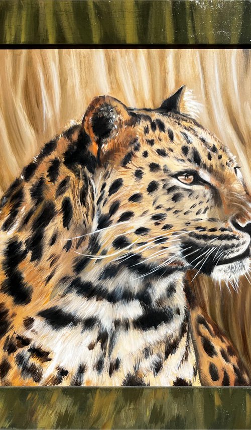 The Silent Watcher: Amur Leopard by Angelo Di Carlo