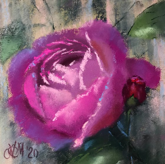 Portrait of a Rose #2