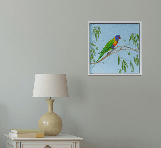 Rainbow Lorikeet