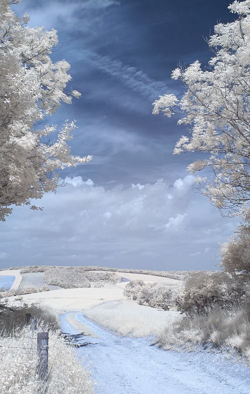 South Downs Way, Littleton End by Ed Watts