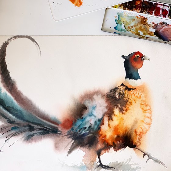 Pheasant