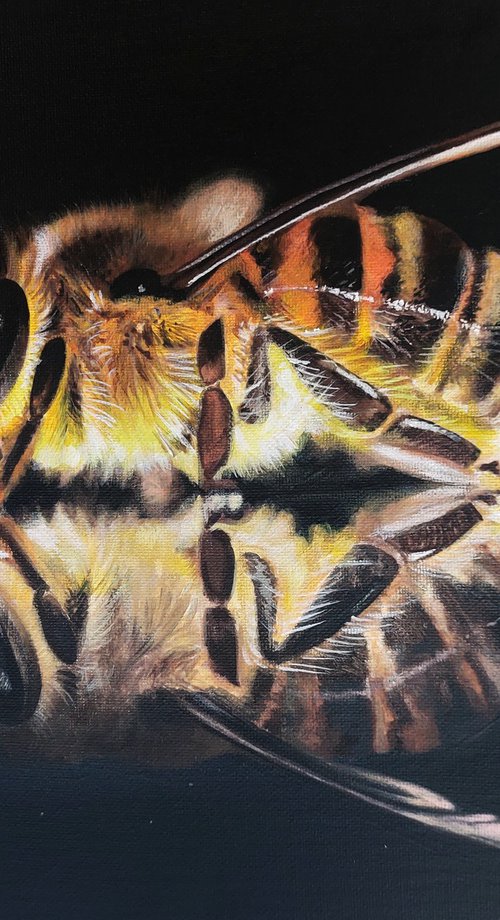 Bee painting on canvas,  original art bee, bee art, hyperrealism art insect by Svitlana Brazhnikova