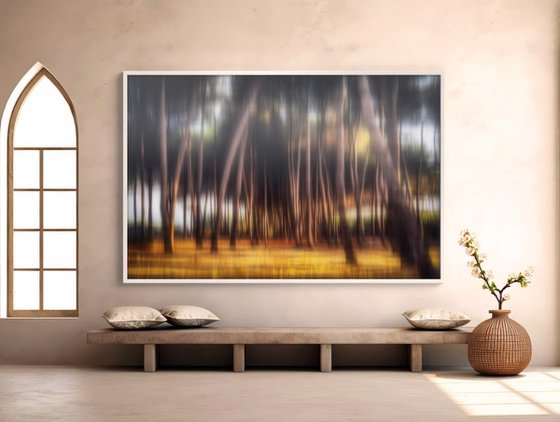 Shimmering pines