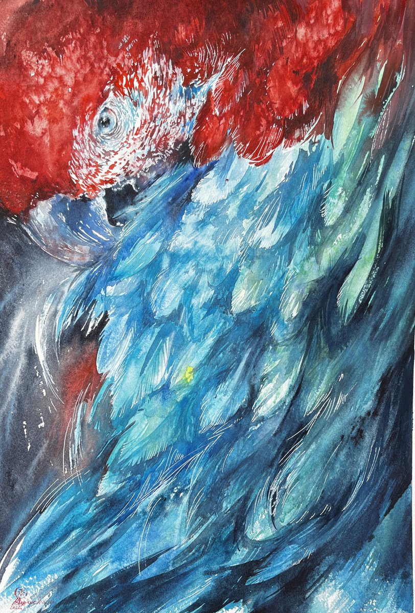Real Macaw #3 by Larissa Rogacheva