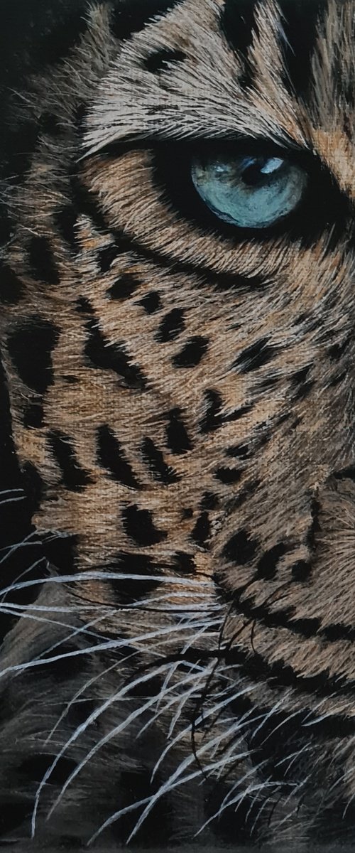 Leopard eye by Denise Martens