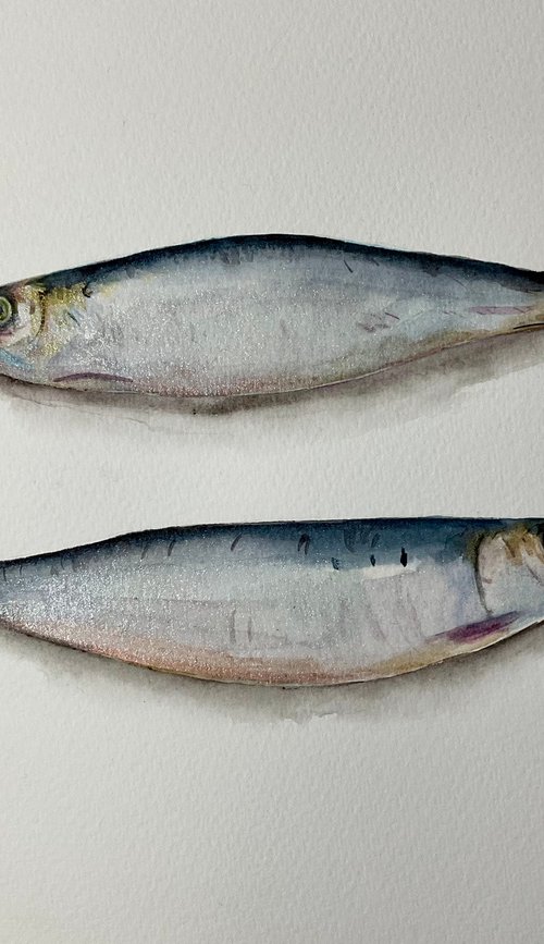 Sardines watercolour painting by Bethany Taylor