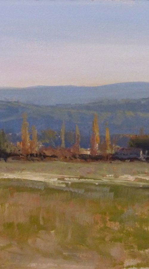 Poplars near Valernes by Pascal Giroud
