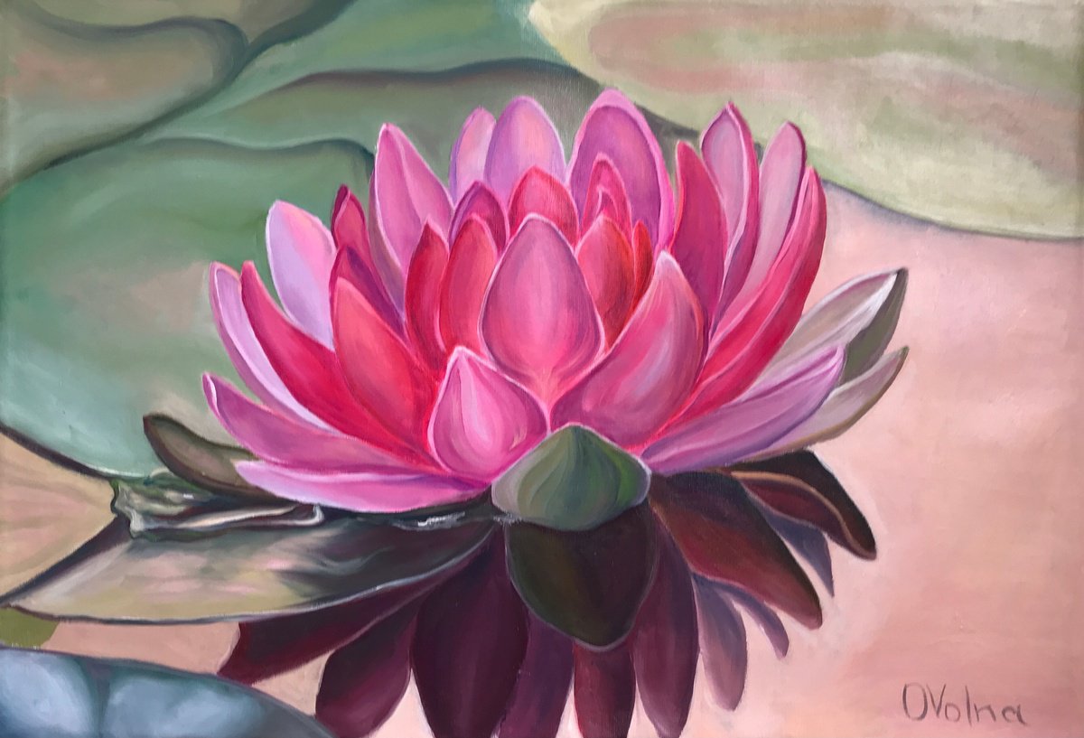 Lotuses in the pond by Olga Volna