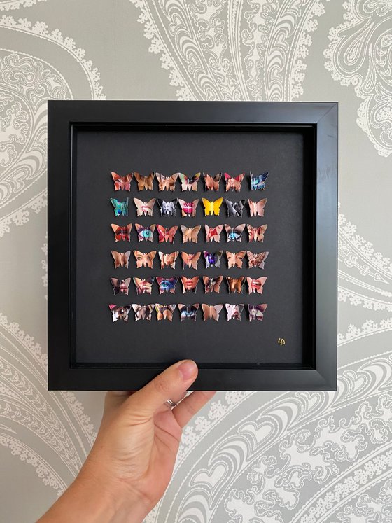 Dirty Little Butterflies