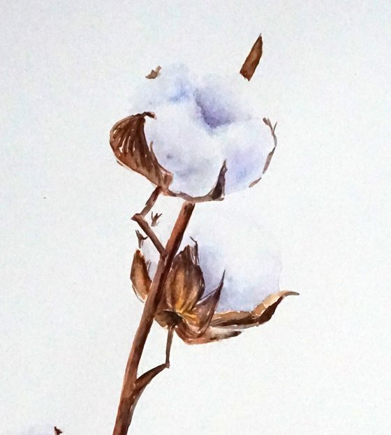 Cotton Flower ORIGINAL Watercolor Painting - Aquarelle Cotton Balls - Floral Artwork - Cotton Branch - White Flowers Natural Home Wall Decor