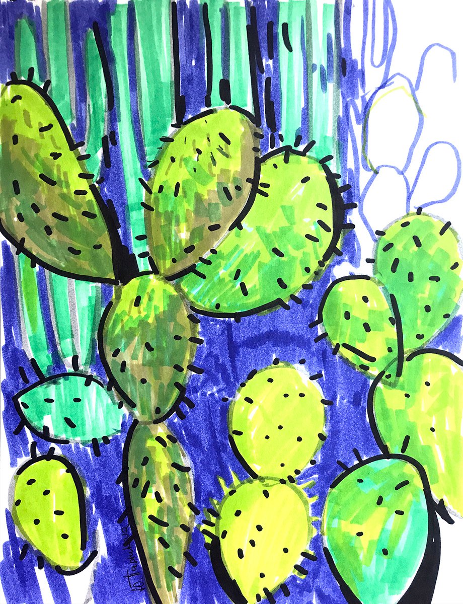 Cactus by Yuliia Pastukhova