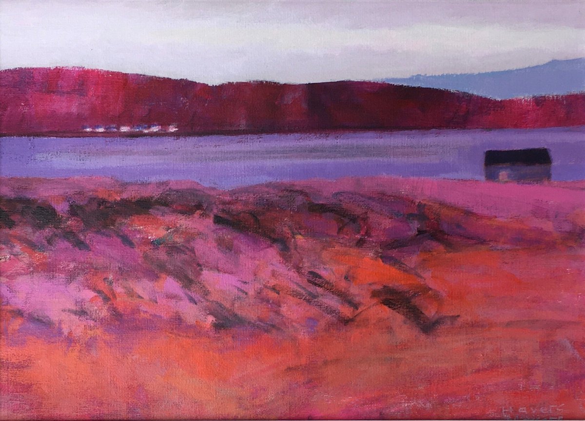 Across the Bay by Chrissie Havers
