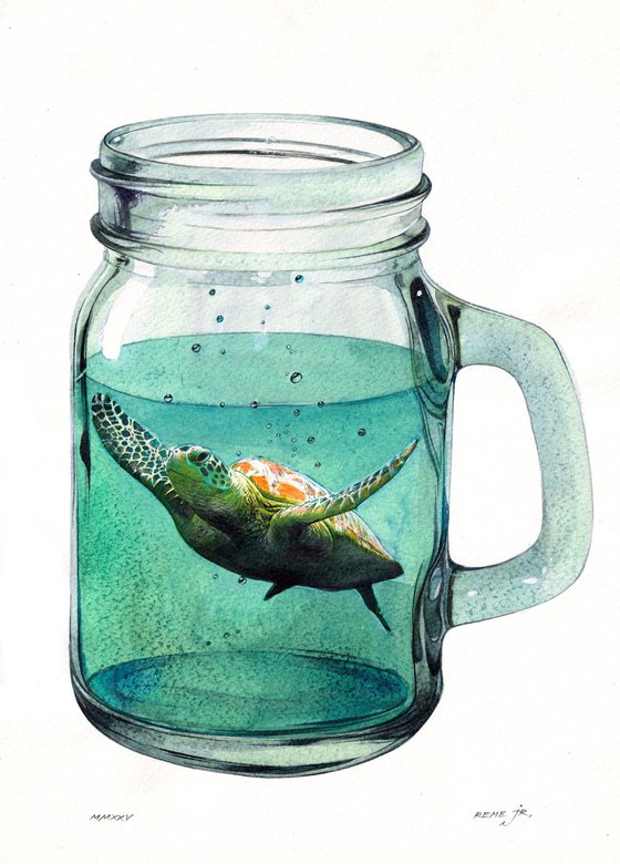 Turtle in Jar