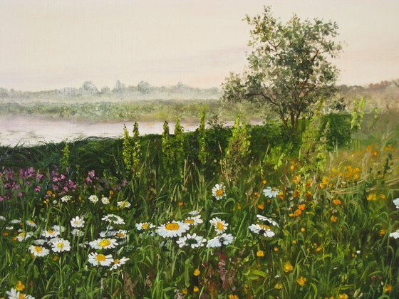 Beautiful Misty Morning at the River, Fields of flowers