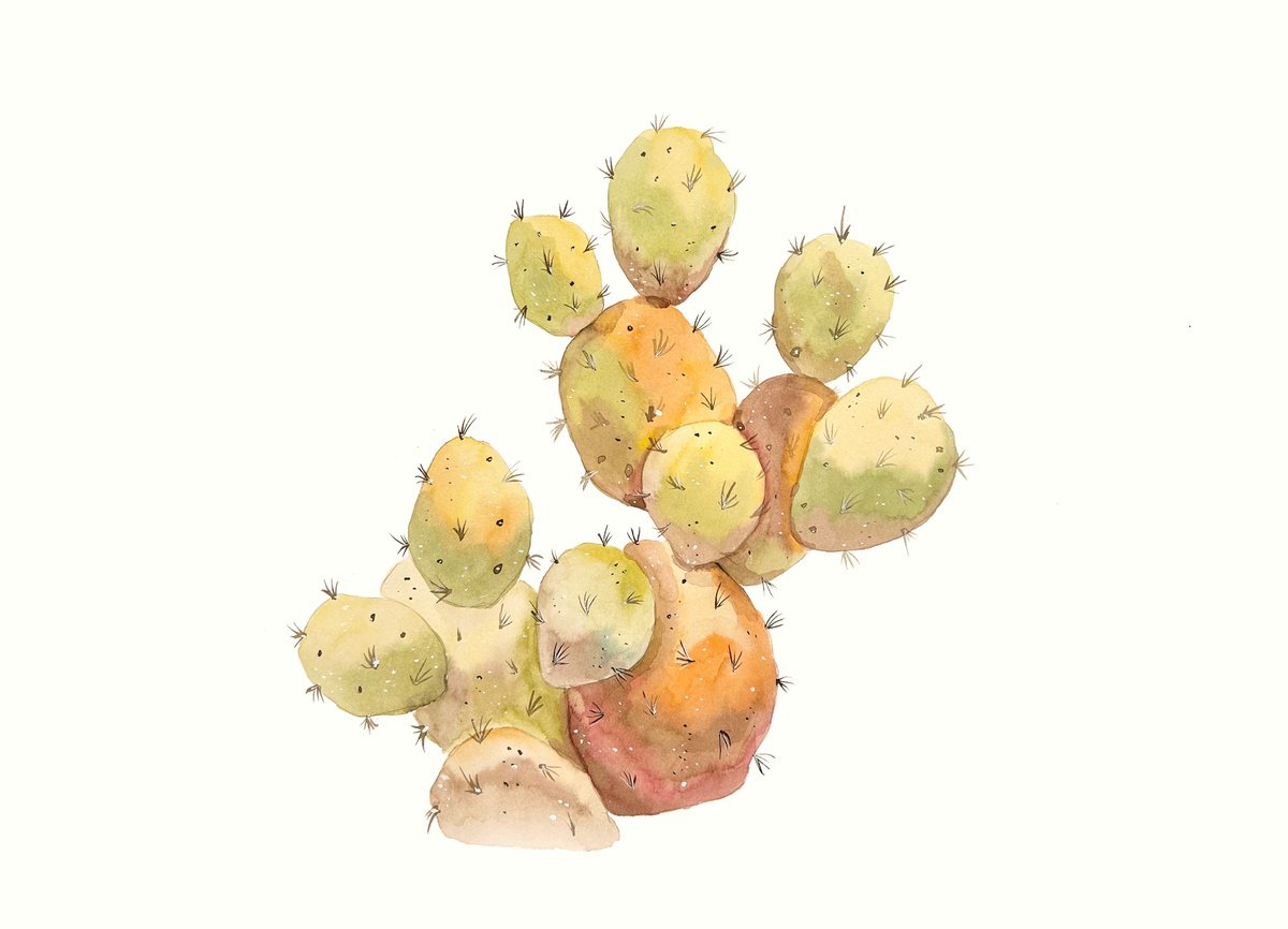 Watercolor Cactus 3 by Irina Anis