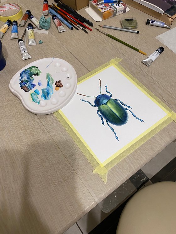 Watercolour beetle