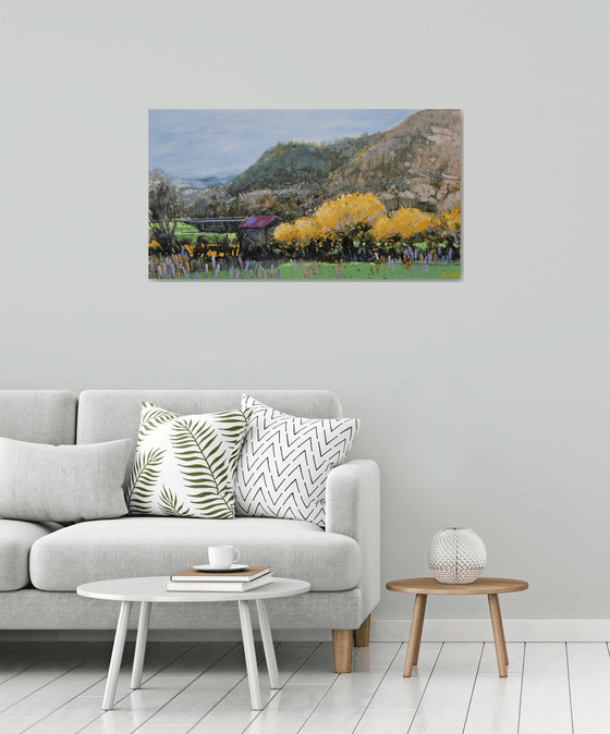 Where Mimosas Bloom