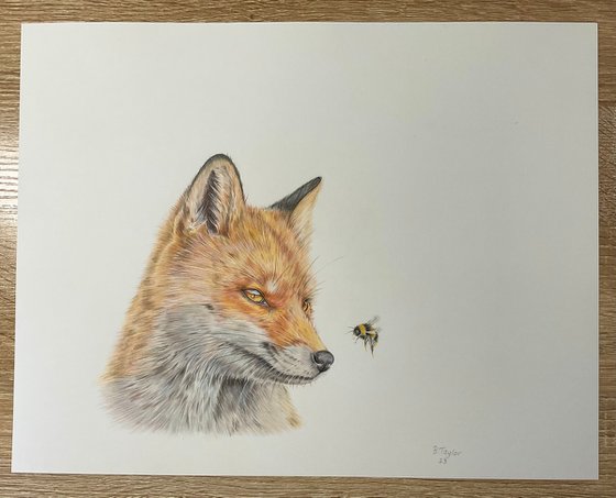 The fox and the bee