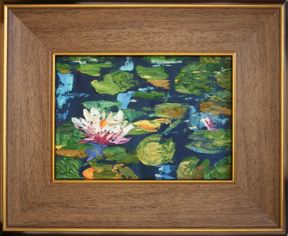 Water lilies  /  famed /  From my a series of mini works LANDSCAPE /  ORIGINAL PAINTING