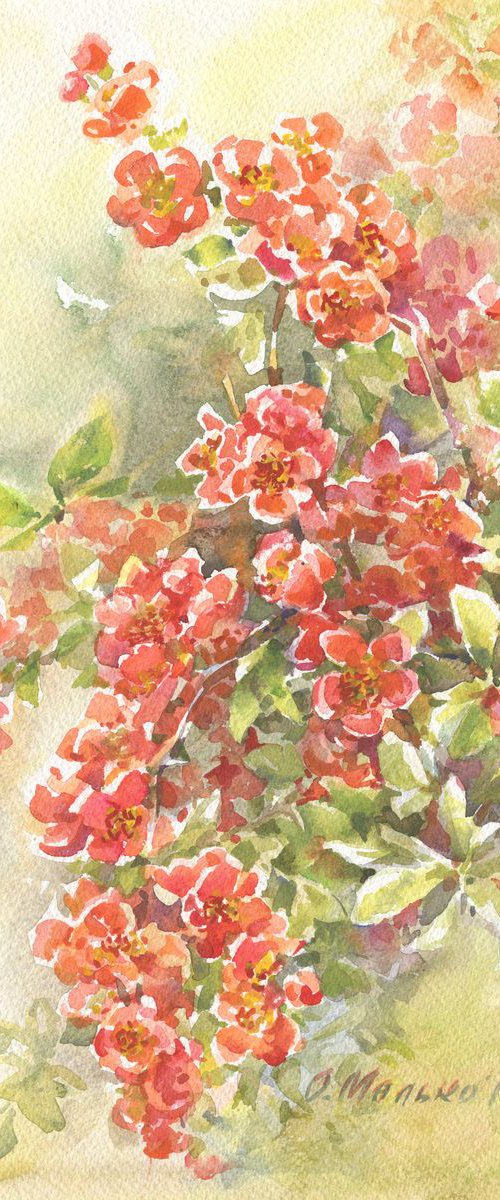 Red blossoming branches / ORIGINAL watercolor 11x15in (28x38cm) by Olha Malko