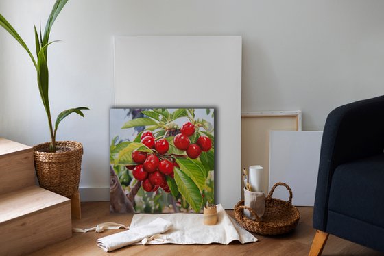 Cherries II