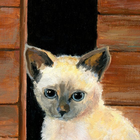 'A kitten in the barn'