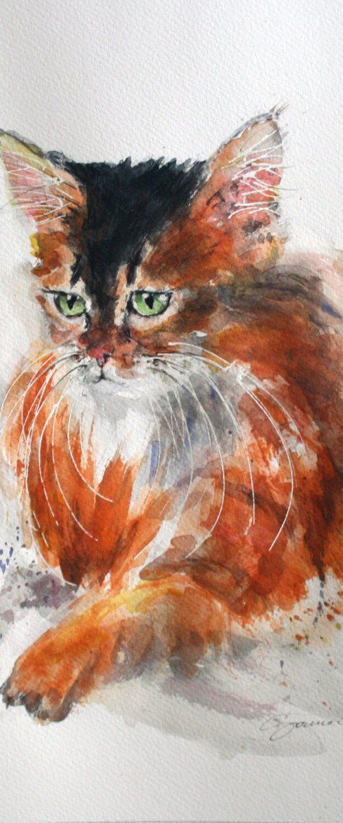 Cat II, 11x13" / FROM THE ANIMAL PORTRAITS SERIES / ORIGINAL PAINTING by Salana Art