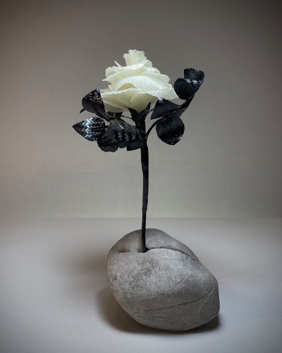 Perseverance finds a way