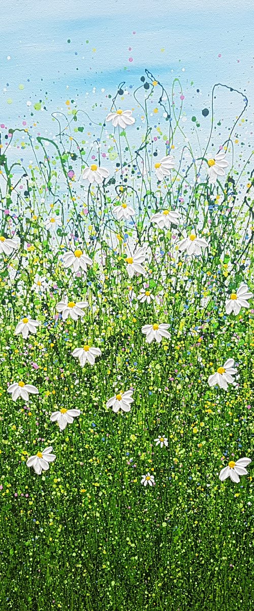 Delightful Daisy Meadows #10 by Lucy Moore