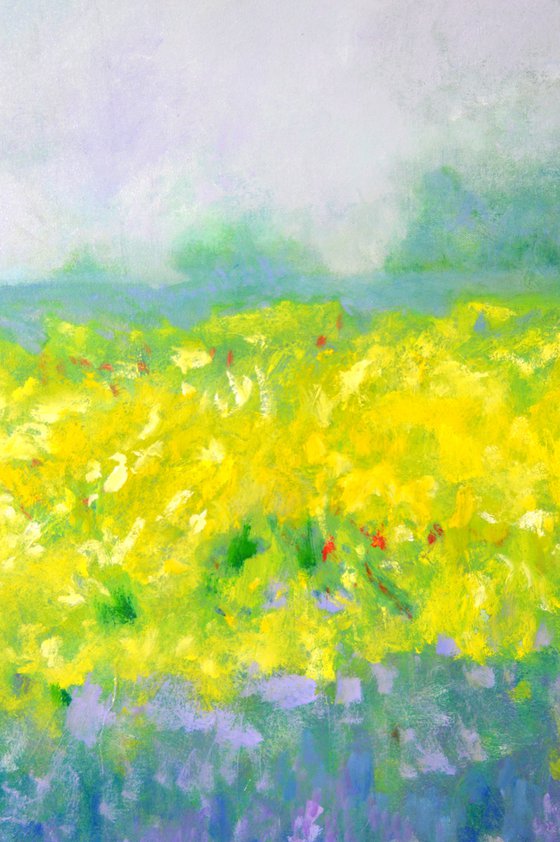 Landscape blanket of yellow flowers