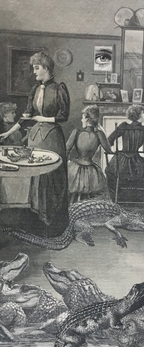Crocodile Tea by Tudor Evans