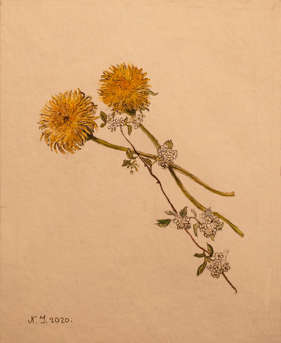 Dandelion arrangement II