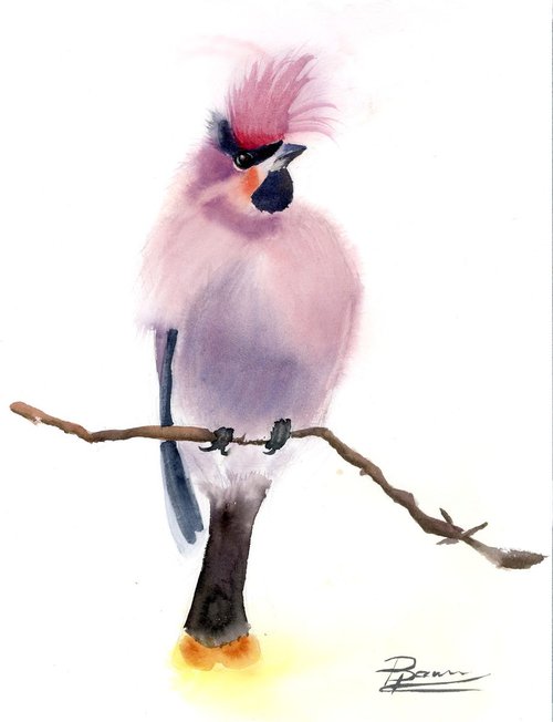 Waxwing bird by Olga Shefranov (Tchefranov)
