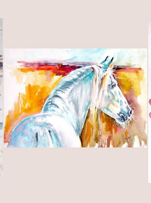 Andalusian horse collection by Kovács Anna Brigitta