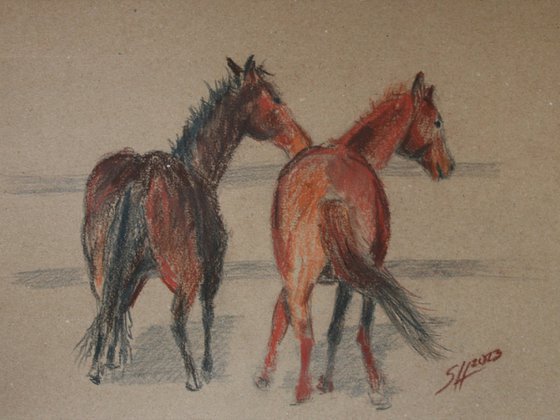 Horses