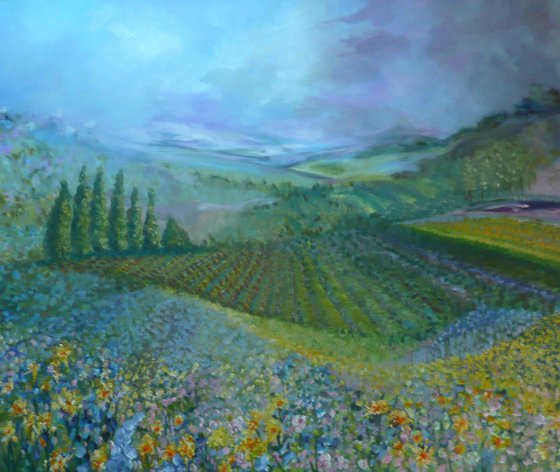 Lavender in Provence