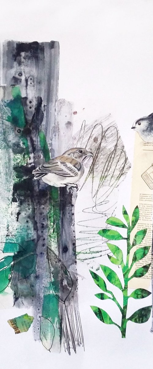 A little bird told me by Carolynne Coulson