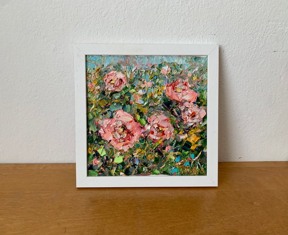 Pink roses