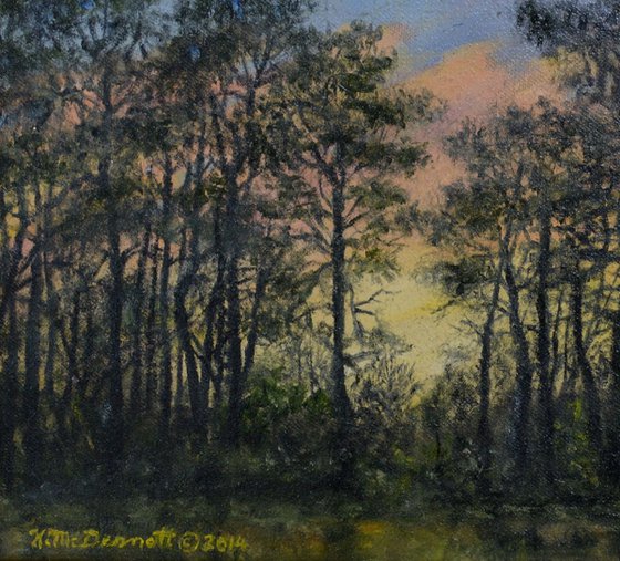 Border Pines - oil 8X10 (SOLD)