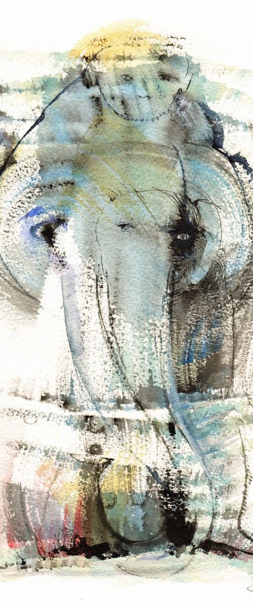 Elephant eye by Jude Berman