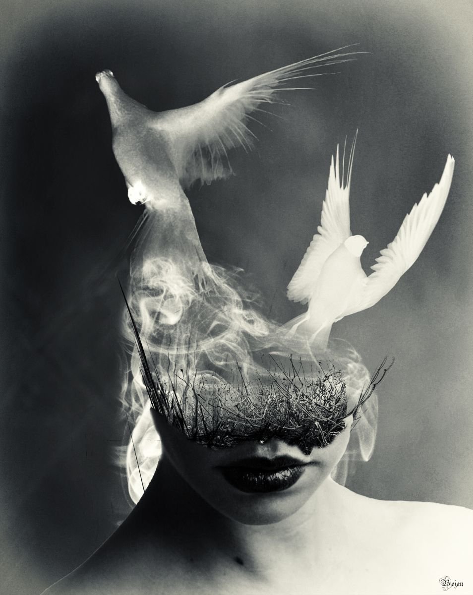 Illustrative Photograph , If Your Birds Flies Away ? By Bojan Jevtic, 31 X 39, Artwork For Sale On Artfinder