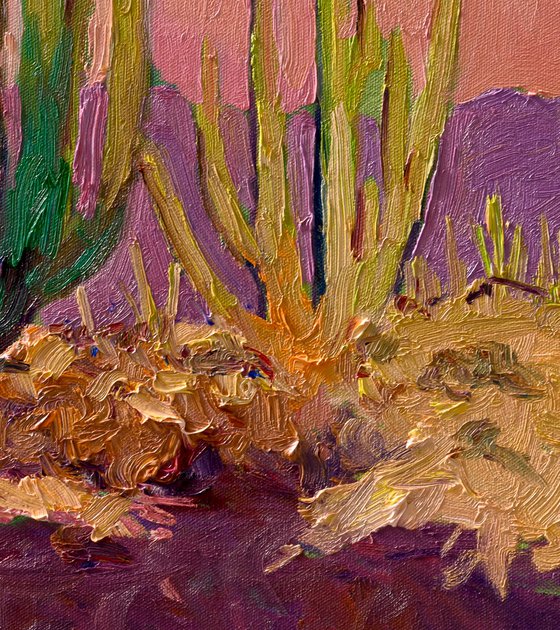 After the Heat. Dasert Evening