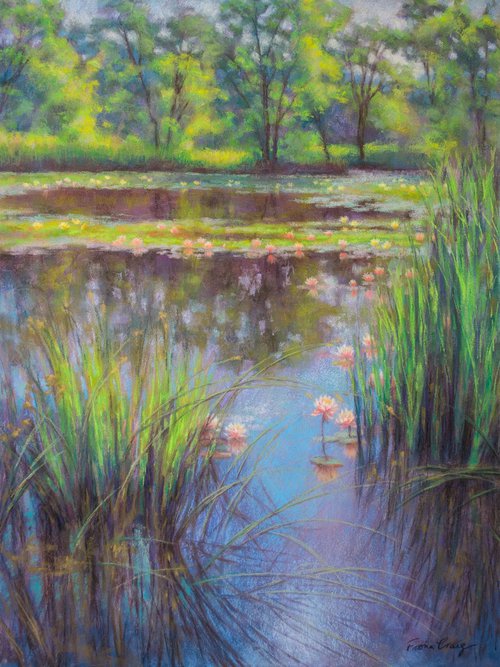 Water Lily Pool, 1 by Fiona Craig