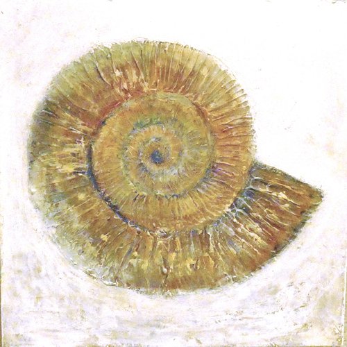 Life Traces - Ammonite by Peter Gaskin
