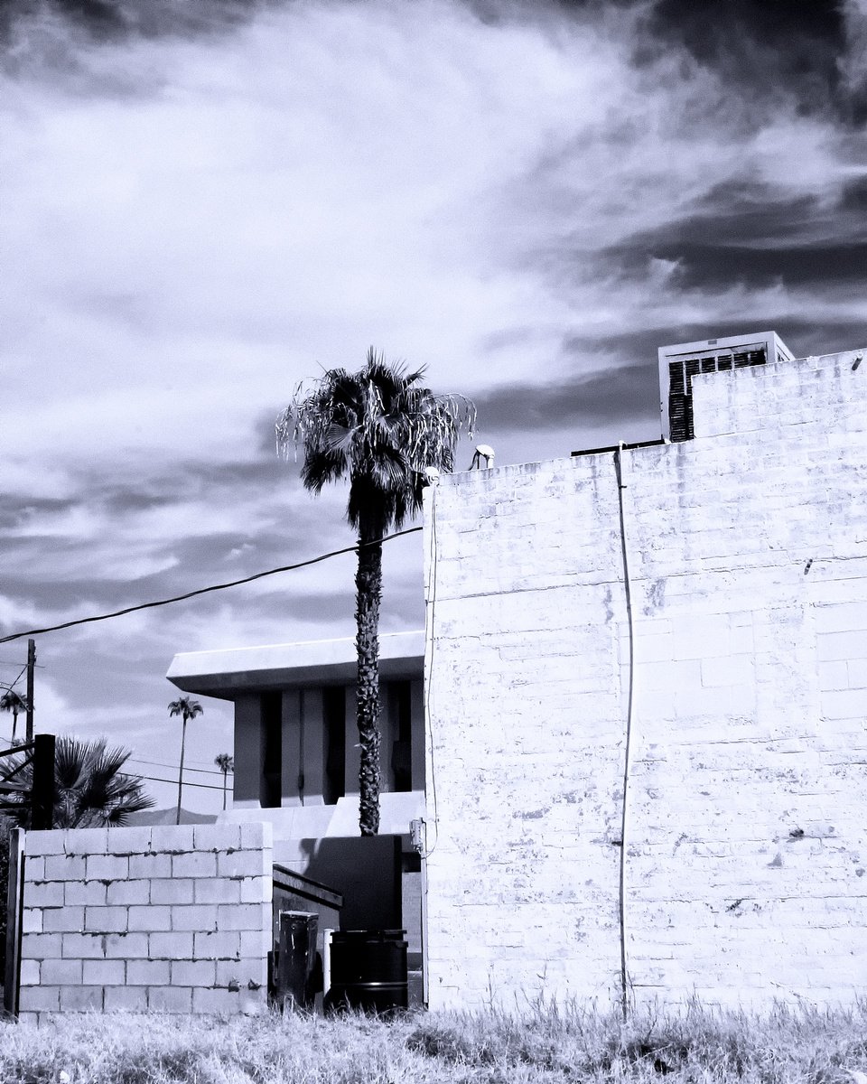 Impressionistic Photograph , A View From The Other Side Palm Springs Ca By William Dey, 18 X 22, Artwork For Sale On Artfinder
