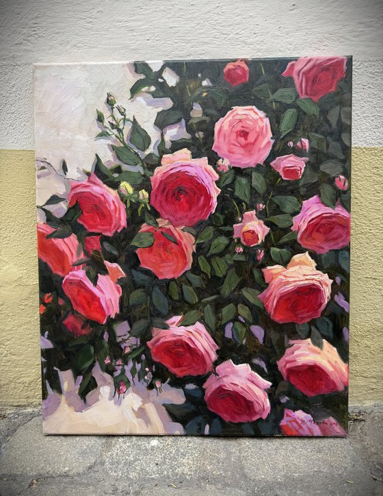 Pink Roses