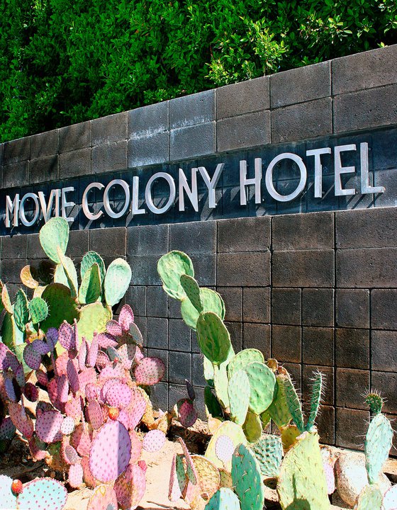 THE COLONY OF PARADISE