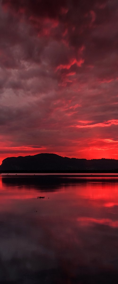 The red sunset by Jacek Falmur
