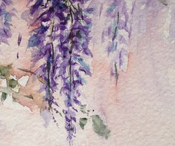 Wisteria Against the Garden Wall